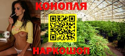 PSILOCYBIN Обнинск